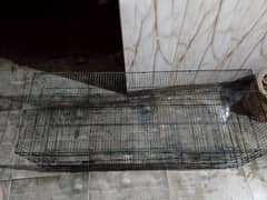 Hen cage 4/1.5 good condition 03392608091 WhatsApp