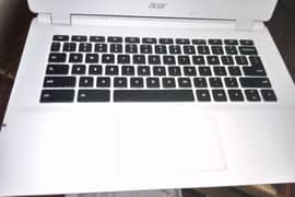 Acer