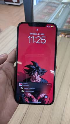 12pro max