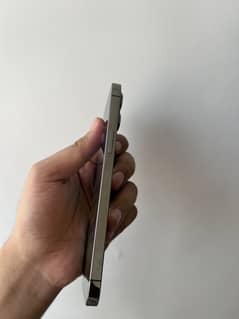 IPHONE 12 pro max