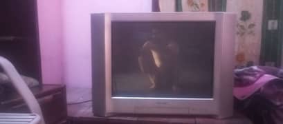 Sony tv