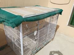 Cages for Birds