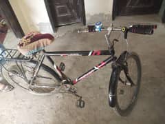 Chicago Sports Cycle