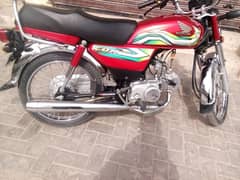 CD 70 brand