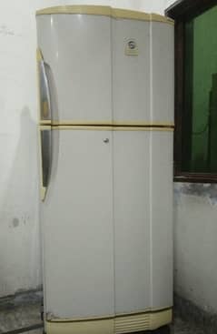 Fridge