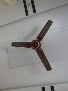 ceiling
