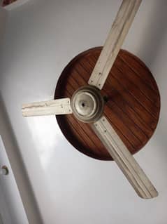 ceiling fan for sale