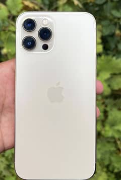 Brand new iPhone 12 Pro Max