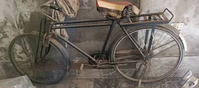 sohrab cycle 24 inch
