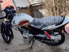 for honda lovera white king