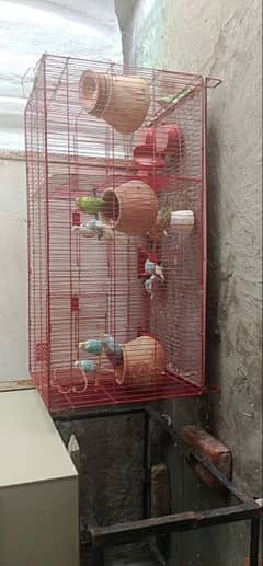 cage for sale
