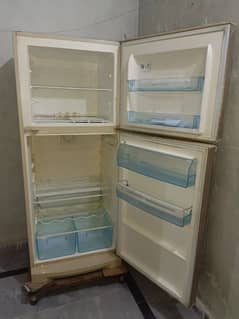 Electrolux fridge