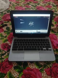 HP Chromebook