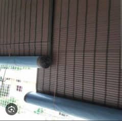 bamboo blind chicks