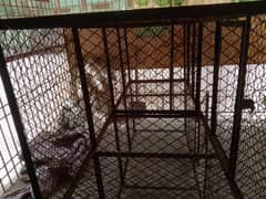 sturdy chicken or combined parrot cage for sale