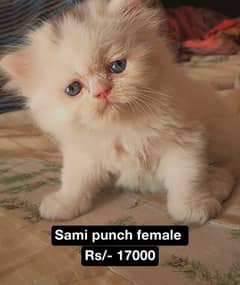Peki