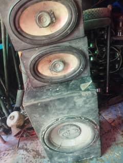 woofer and spekar