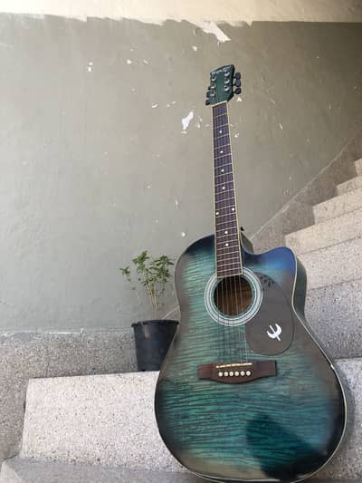 Professional accoustic guitar all ok