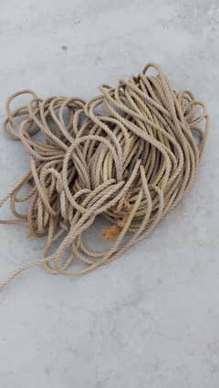 Misile Moter Rassa for Sale