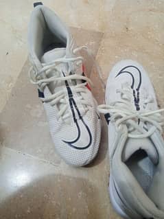Nike shoes size 47