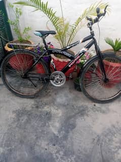 cycle For sale