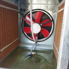Air cooler