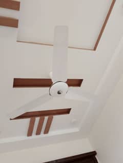 ceiling