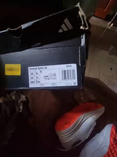 Only one time use adidas howzat spike 20