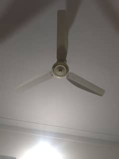 ceiling