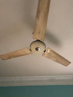 Fan