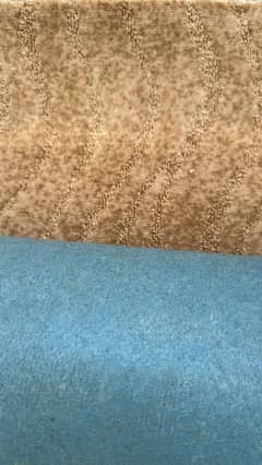 Carpet