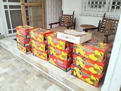 Fresh Organic Mangoes good quality | Farm Mango