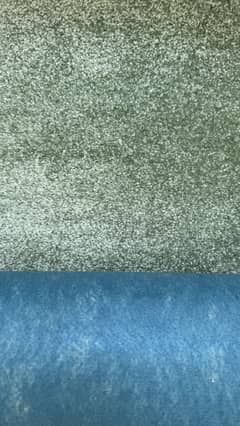 Carpet