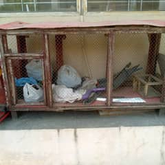 Hen Cage