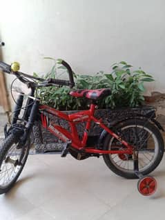 Bicycle