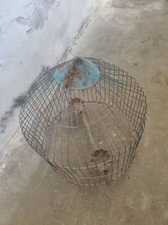 Parrot cage