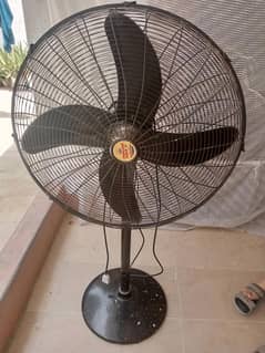 Pedestal Fan | Punjab Asia 24 inch full size