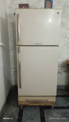pel fridge(medium size )with stabilizer