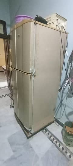 Pel