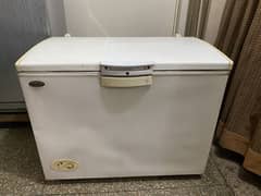 Wave’s freezer. Fully working