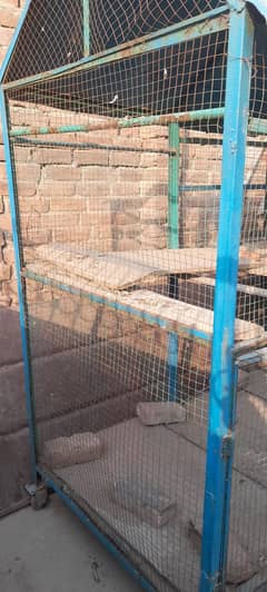 Bird cage