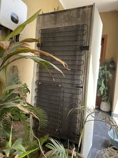 Simens Fridge for Sale