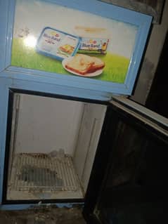 03157094575 full cooling fridge