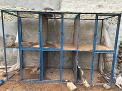 Hens cage 9 by 6