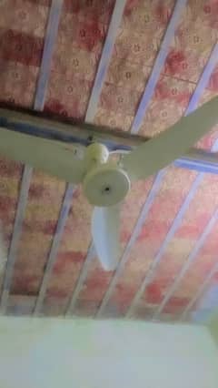 selling fan