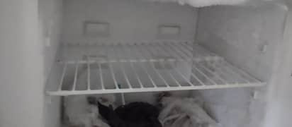 small medium size dawlance fridge,old Samsung flat Screen TV