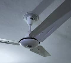 7 fans same white color