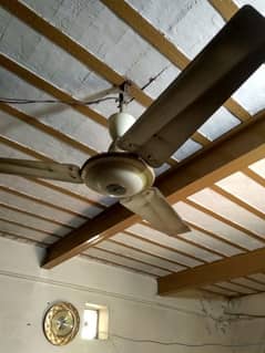 Celing Fan