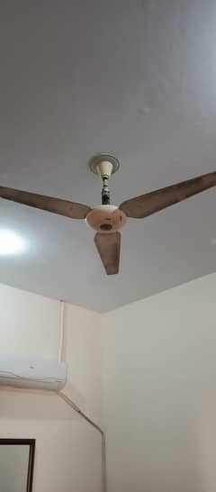 Ceiling fan for sale