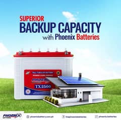 Phoenix Tubular Battery